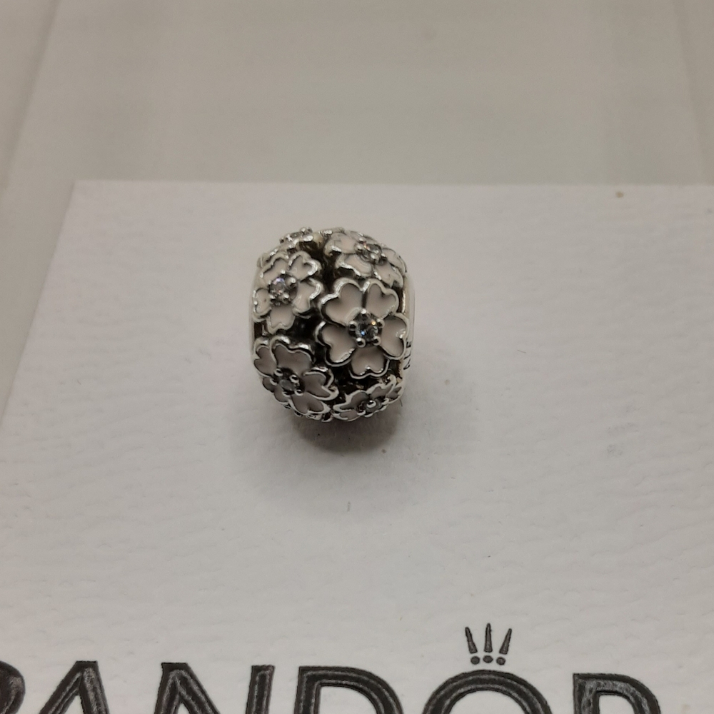 Authentic Pandora Primrose Meadows Openworks Charm - EUC